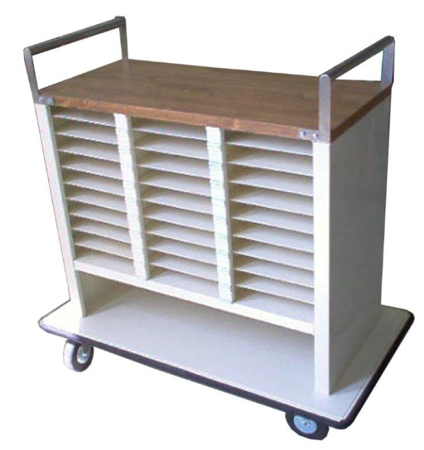 Gidsa - Carro de transporte y curaciones